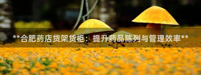 杏运体育官方网址