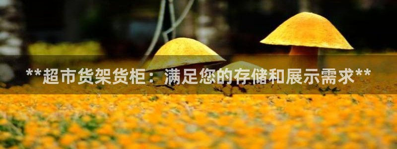 杏运汽车招商