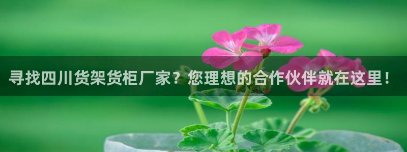 杏运注册登录