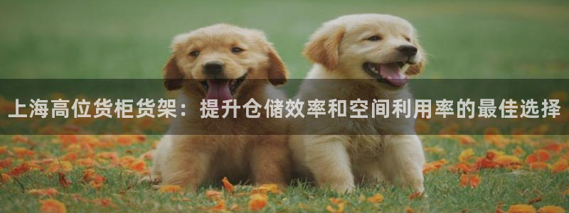 杏运注册平台
