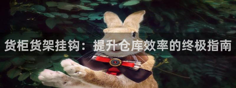 杏运代理