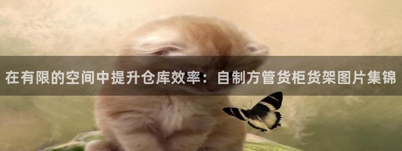 杏运平台官网