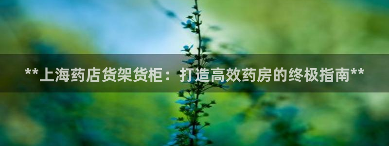 杏运体育登录