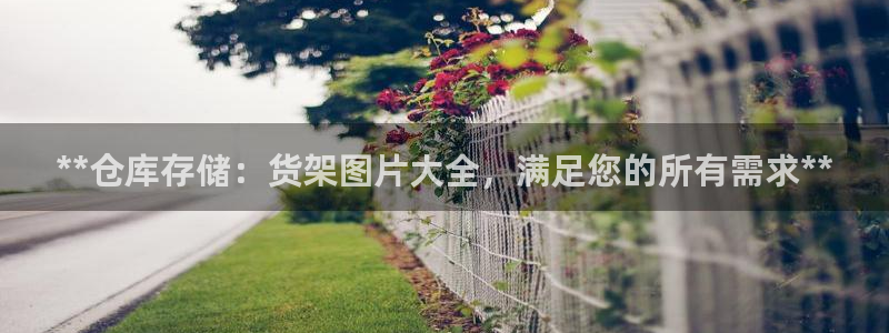 杏运体育娱乐