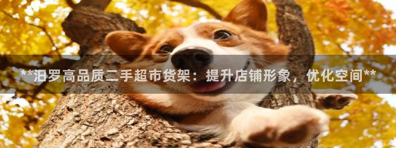 杏运体育官方网址登录