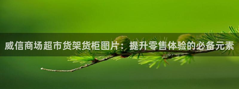 杏运体育官方网址