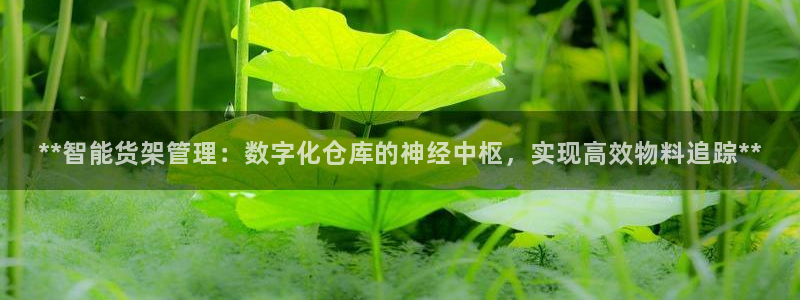 杏运注册登录地址