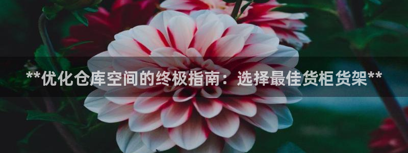 杏运平台注册登录
