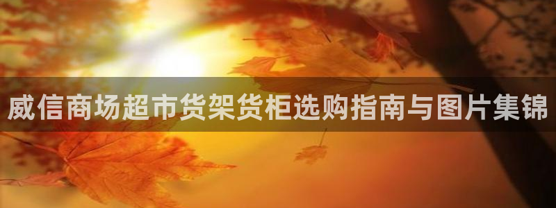 杏运体育官方网址登录