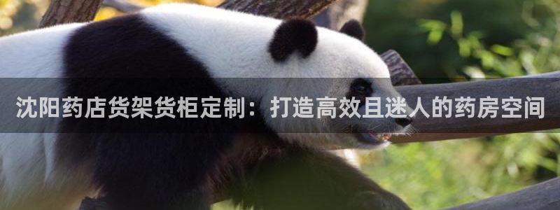 杏运汽车