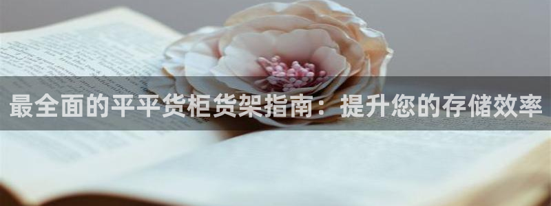 杏运平台代理