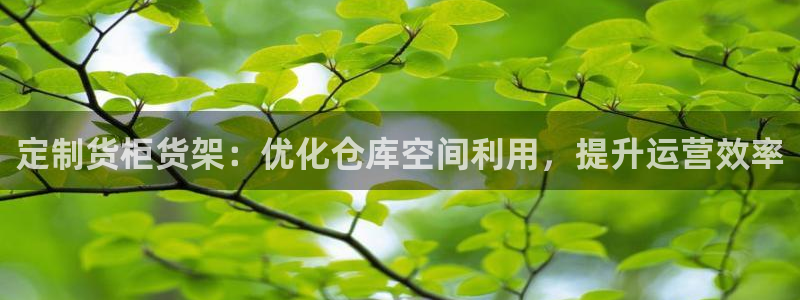 杏运汽车招商