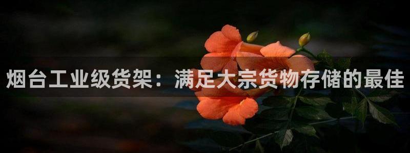 杏运体育怎么样