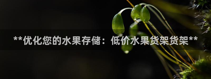 杏运注册平台