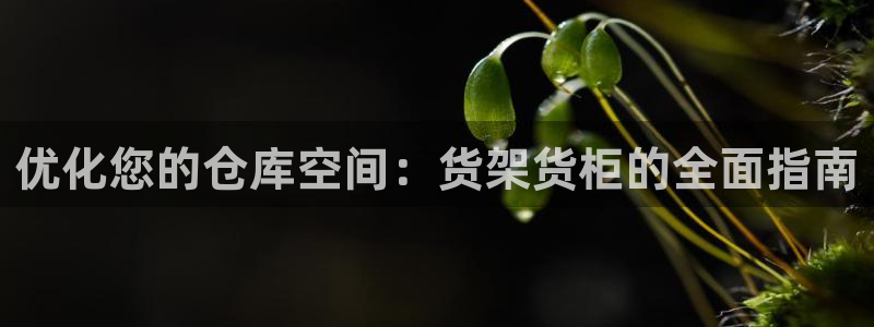 杏运体育平台正规吗安全吗可信吗
