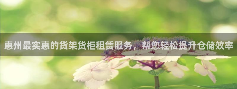 杏运汽车招商