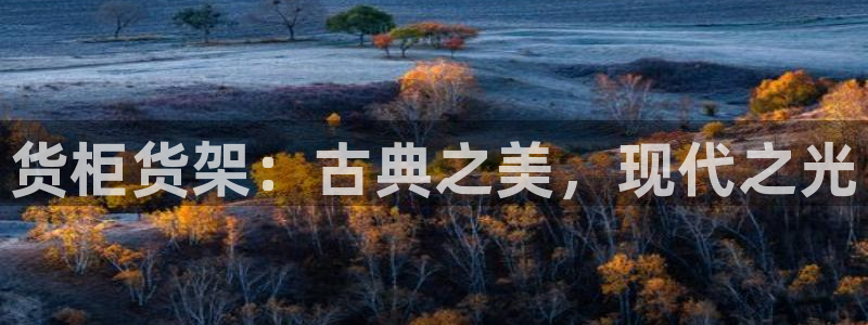 杏运相伴
