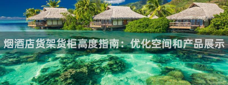 杏运新能源