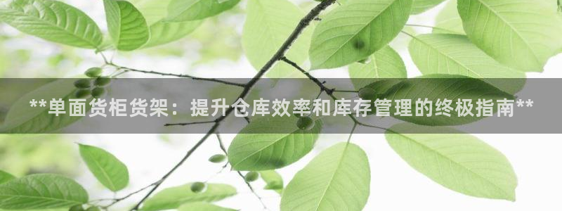杏运体育注册