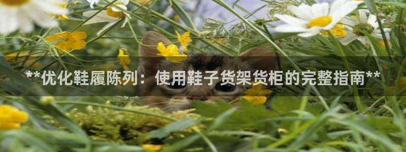杏运汽车招商