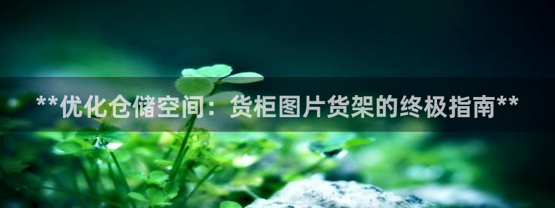 杏运新能源
