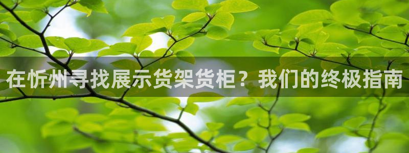 杏运平台注册登录