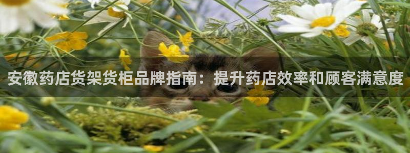 杏运体育官方网址