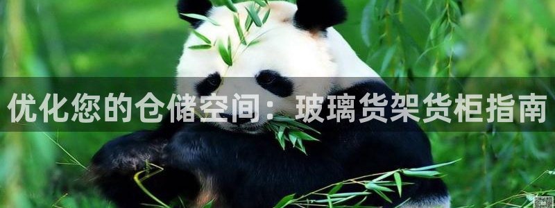 杏运注册登录地址