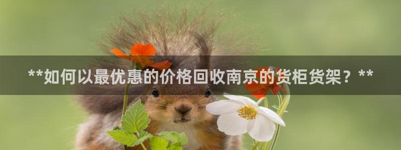 杏运代理