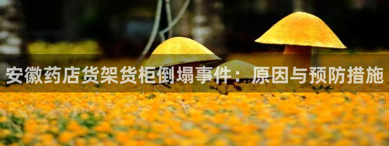杏运体育不给出款