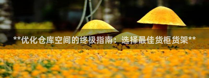 杏运注册登录地址