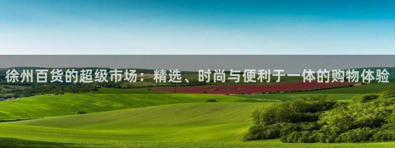 杏运汽车招商