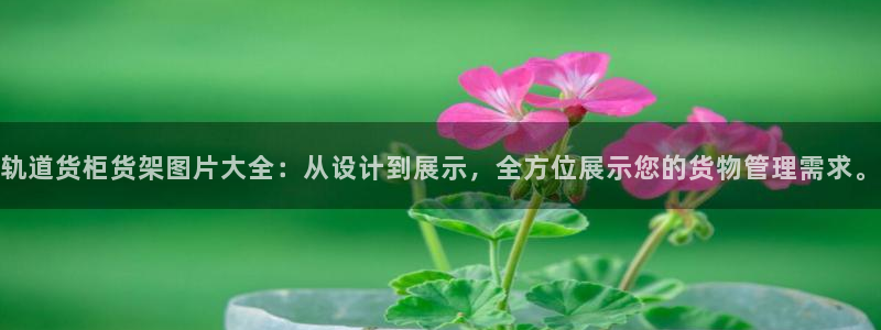 杏运体育官网