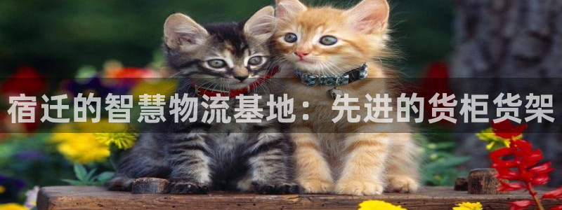 杏运体育官网