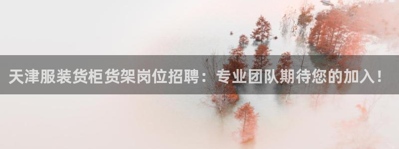 杏运汽车招商：天津服装货柜货架岗位招聘：