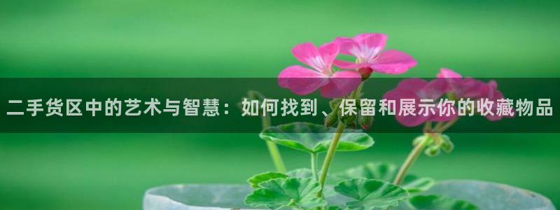 杏运娱乐平台注册地址在哪里