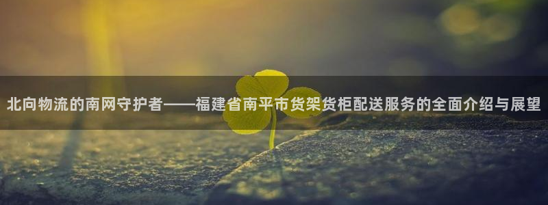 杏运平台官网：北向物流的南网守护者——福