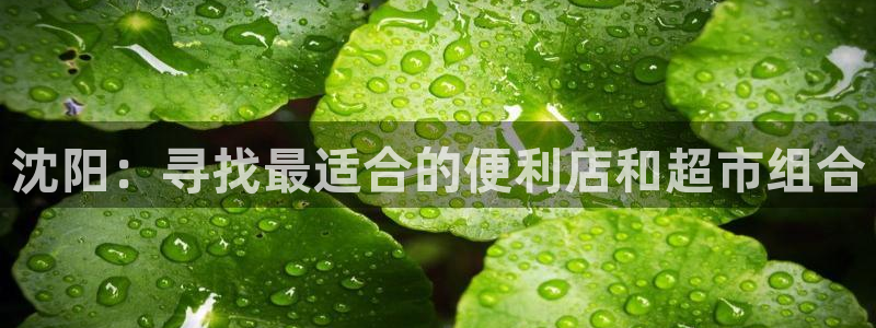 杏运平台注册