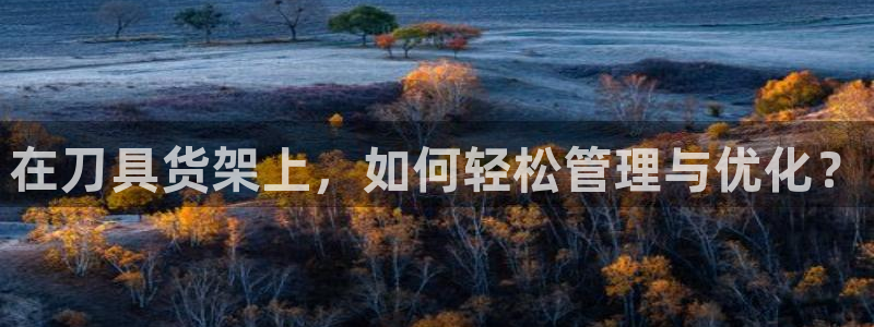 杏运注册登录地址：在刀具货架上，如何轻松
