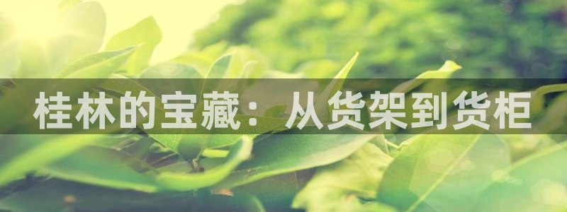 杏运注册登录地址
