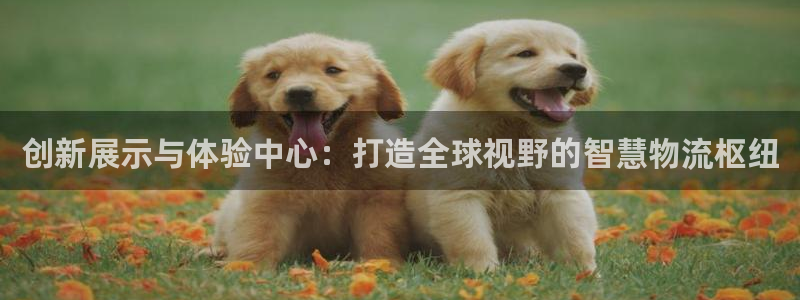 杏运平台招商