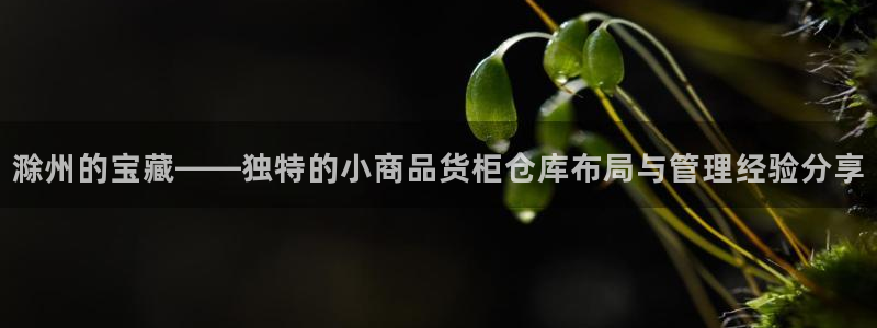 杏运体育官方网址登录