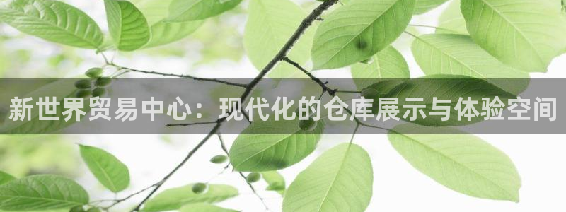 杏运体育注册：新世界贸易中心：现代化的仓