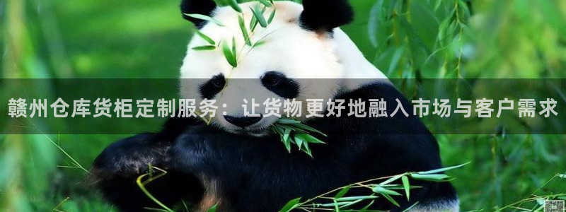 杏运汽车招商