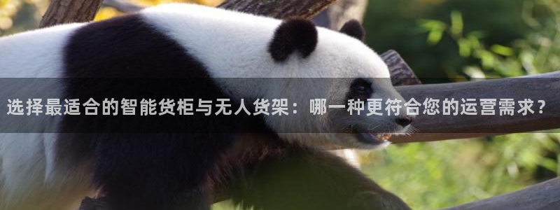 杏运体育注册