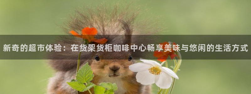 杏运平台代理