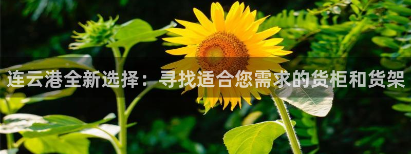杏运娱乐：连云港全新选择：寻找适合您需求