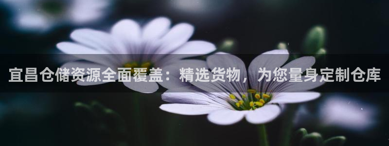 杏运体育注册