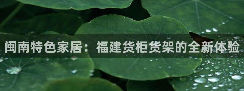 杏运平台官方网站