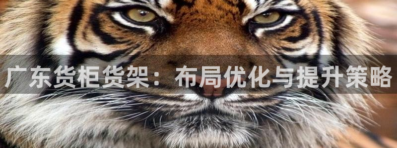 杏运注册账号